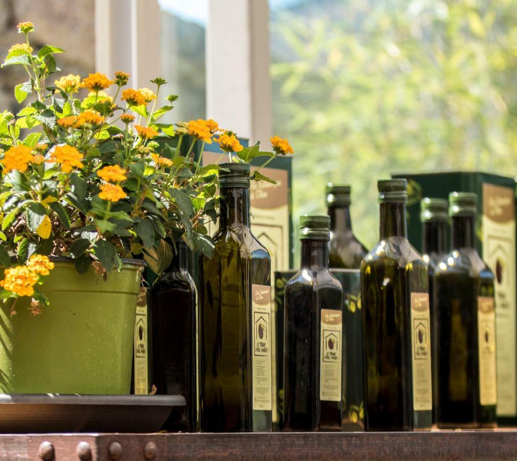 Agriturismo Terre Degli Angeli Pietra Ligure Εξωτερικό φωτογραφία